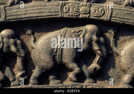 Polonnaruwa, la Pietra di luna, elefante Motif Foto Stock