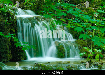 Cascata nella Foresta, Parco Nazionale dei Laghi di Plitvice, Croazia Foto Stock
