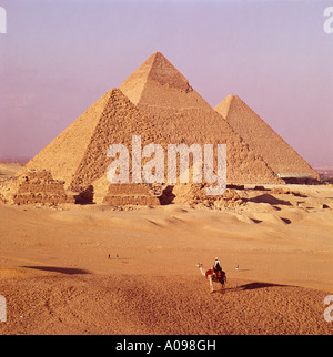 Le Piramidi e cammello Cairo Egitto Nord Africa Foto Stock