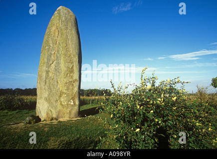 Menhir du Champ Dolent oltre 9 metri di altezza la pietra in piedi al di fuori della piccola cittadina di Dol nel nord-est della Bretagna Foto Stock