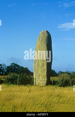 Menhir du Champ Dolent oltre 9 metri di altezza la pietra in piedi al di fuori della piccola cittadina di Dol nel nord-est della Bretagna Foto Stock