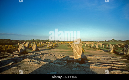 Le Menec allineamenti molte righe di menhir all'alba a nord-ovest di Carnac Brittany Foto Stock