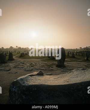 Le Menec allineamenti molte righe di menhir all'alba a nord-ovest di Carnac Brittany Foto Stock