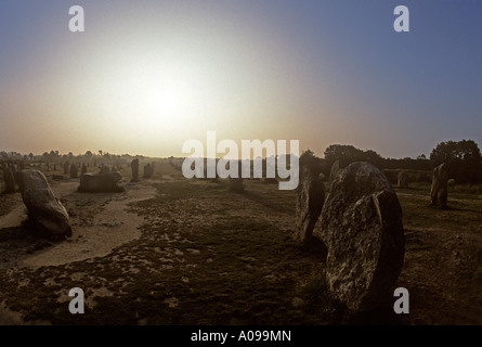 Le Menec allineamenti molte righe di menhir all'alba a nord-ovest di Carnac Brittany Foto Stock