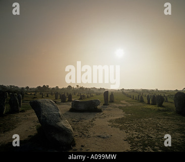 Le Menec allineamenti molte righe di menhir all'alba a nord-ovest di Carnac Brittany Foto Stock