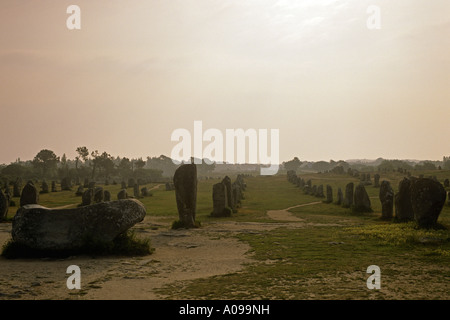 Le Menec allineamenti molte righe di menhir all'alba a nord-ovest di Carnac Brittany Foto Stock