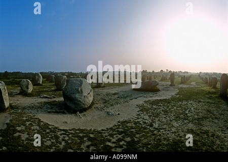 Le Menec allineamenti molte righe di menhir all'alba a nord-ovest di Carnac Brittany Foto Stock