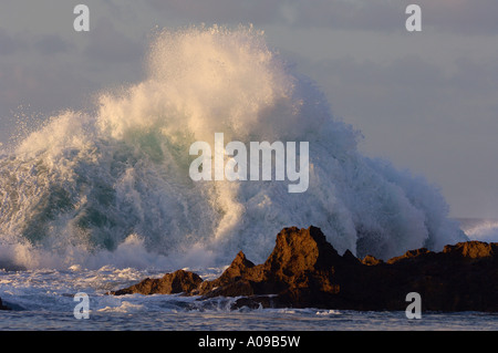 Wave si infrangono sulla barriera corallina, North Shore Oahu, Hawaii, STATI UNITI D'AMERICA Foto Stock