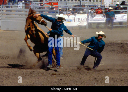 Sfrenata corsa a cavallo Foto Stock