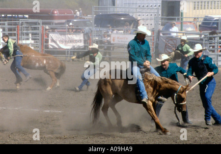 Sfrenata corsa a cavallo Foto Stock