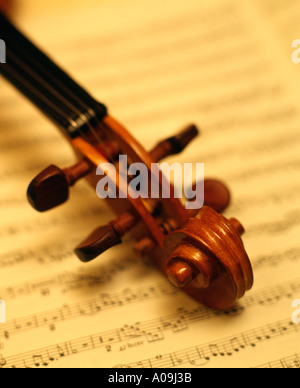 violino Foto Stock