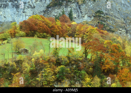 Autunno nelle Alpi vicino a Lauterbrunnen nell Oberland Bernese in Svizzera Foto Stock