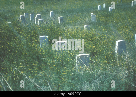 Storico cimitero militare. Foto Stock