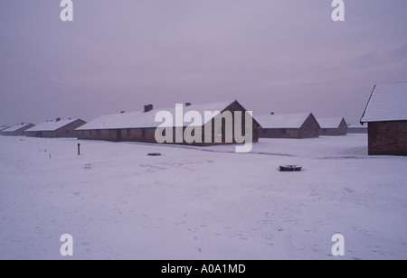 Auschwitz Birkenau morte Camp, Polonia Foto Stock