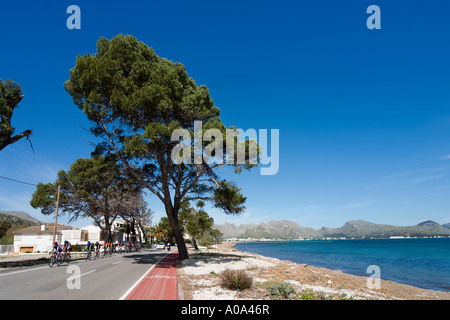 I ciclisti sulla strada costiera tra Puerto Pollensa e di Alcudia, costa Nord, Maiorca, isole Baleari, Spagna Foto Stock