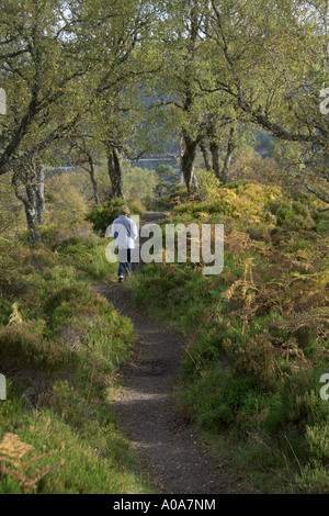 Passeggiate in Glen Affric tinte Autunno River Affric guardando ad ovest Cannich vicino a Inverness Highlands scozzesi 2006 Foto Stock