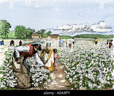 African American field mani raccolta di cotone nei tardi 1800s. Colorate a mano la xilografia Foto Stock