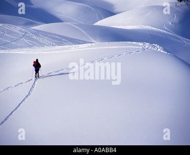 Sci di fondo Backcountry Mt Baker Wilderness Area stato di Washington Foto Stock