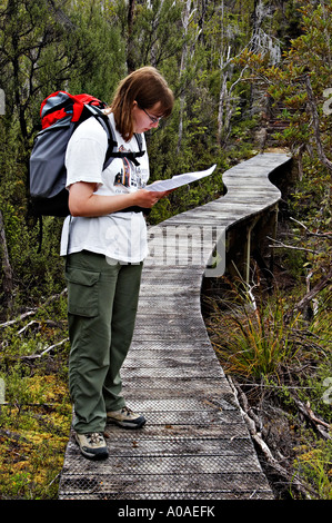 Miniera Alborns del carbone a piedi, Victoria Forest Park, Reefton, Isola del Sud, Nuova Zelanda Foto Stock