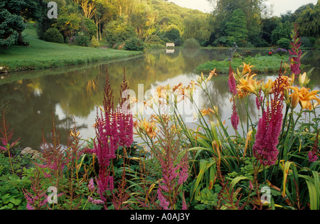 ASTILBE X ARENDSII 'CATTLEYA DUNKEL" (FALSO GOATSBEARD) CON HEMEROCALLIS (giglio di giorno) a MARWOOD HILL GARDEN Devon England Foto Stock