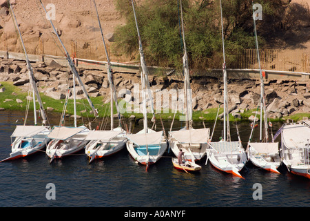 Moored feluche sul Nilo ad Aswan Egitto Foto Stock