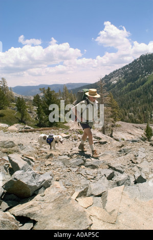 Un colore dell'immagine in verticale di un anziano uomo a camminare su un sentiero di granito con un cane Foto Stock