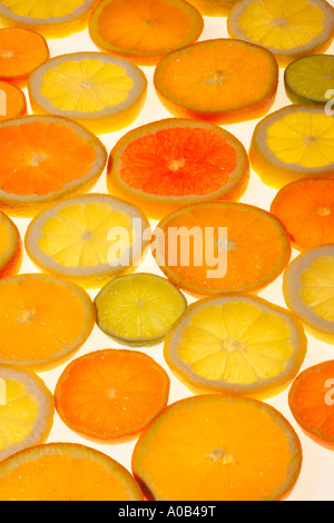 I limoni, arance, tigli e grapfruit verticale. Foto Stock