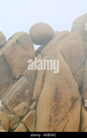 Round rock di bilanciamento nella nebbia Joshua Tree National Park California Foto Stock