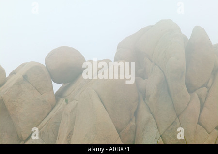 Round rock di bilanciamento nella nebbia Joshua Tree National Park California Foto Stock