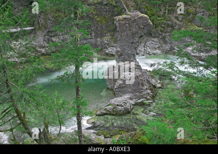 Poco a nord Santiam selvatica e Scenic River con grande roccia molare Willamette Foresta Nazionale di Oregon Foto Stock