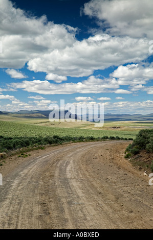 Road vicino al lago Abert con nuvole di Oregon Foto Stock