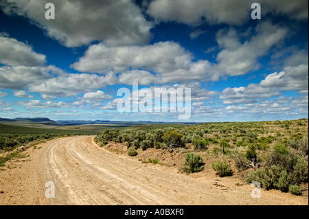 Road vicino al lago Abert con nuvole di Oregon Foto Stock