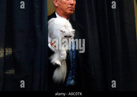 A giudicare presso il CFA IAMS Cat Show al Madison Square Garden di New York Foto Stock