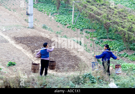 Cina Shanghai le donne cinesi che trasportano l'acqua in secchi sulla spalla le forcelle per irrigare il loro piccolo giardino tenute Foto Stock