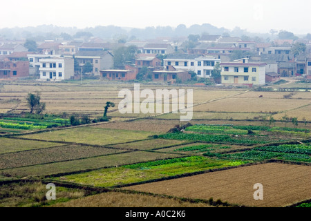 Cina Shanghai piccolo giardino tenute nei sobborghi della periferia di Shanghai Foto Stock