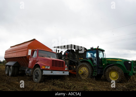 Immagine di stock di una meccanica trebbiatrice di patata e il carrello utilizzato per trasportare patate Foto Stock