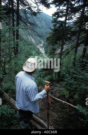 Immagine di stock di uomini escursioni attraverso boschi di Fundy Trail tra St Martins e Fundy National Park Foto Stock
