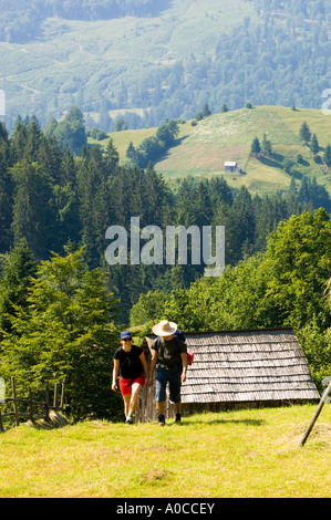 Europa Romania Maramures escursionismo in Rodna mountains Foto Stock