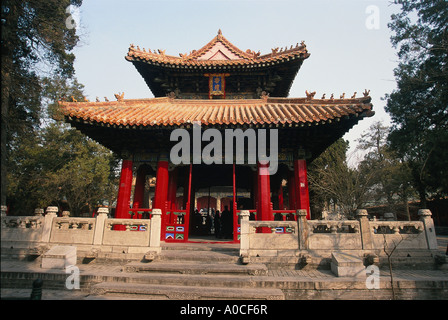 Pilastro del modello piastrella Signor Onari Tempio di Confucio il Patrimonio Mondiale Qufu Shandong Cina Foto Stock