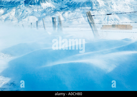 Lavori di soffiaggio della neve e la recinzione di linea e Hart montagna Valle Warner Oregon Foto Stock