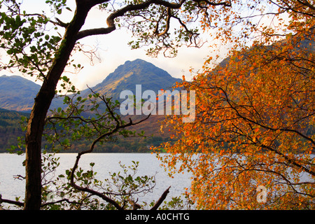 Sul Loch Lomond verso le colline a Arrochar in Scozia .prese vicino Inversnaid nel Trossachs Foto Stock