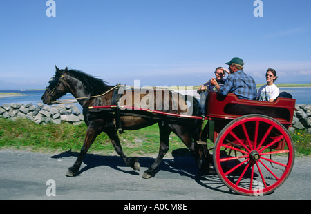 Irlandese tradizionale cavallo jaunting auto come taxi a Kilronan sull isola di Inishmore nelle Isole Aran, Galway, Irlanda Foto Stock