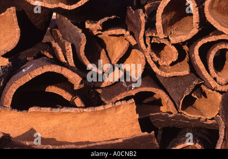 corteccia del sughero Foto Stock