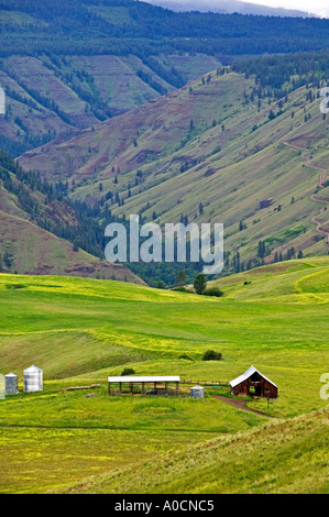 Farm in valley near Troy Oregon Foto Stock