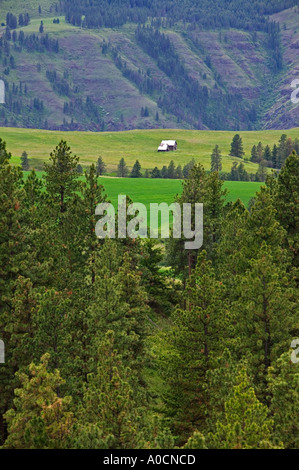 Farm in valley near Troy Oregon Foto Stock