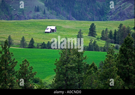 Farm in valley near Troy Oregon Foto Stock