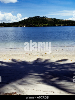 Pernambuco del Brasile. Spiaggia con sabbia bianca e l'ombra di una palma con una palma da cocco plantation attraverso la laguna blu. Foto Stock