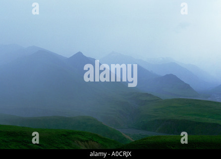 Montagne avvolte nella nebbia Parco Nazionale di Denali Alaska USA Foto Stock