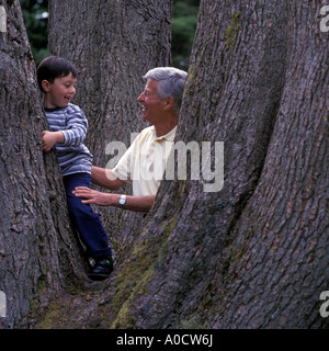 Modello rilasciato immagine del nonno e nipote giocando su una vecchia quercia Foto Stock