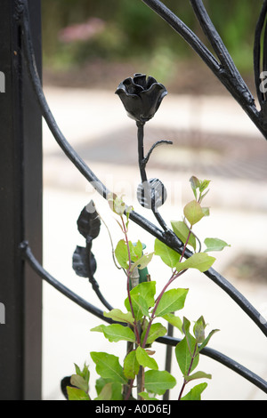 Black Metal rose realizzata in ferro battuto Foto Stock